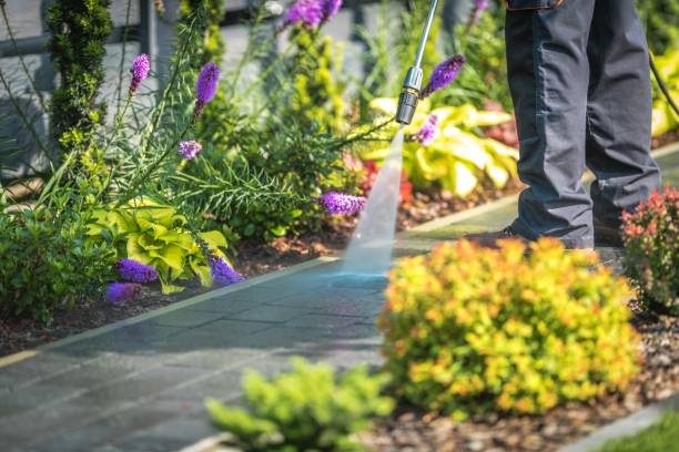 Professional Pressure Washing Services in Florida, NY