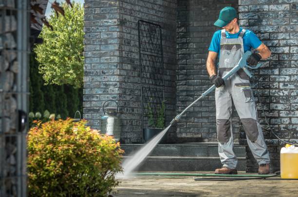 Animal Enclosure Cleaning in Florida, NY